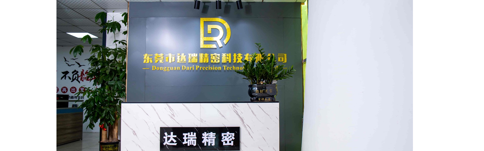 Plastform, sprøjtestøbning, plastikskal,Dongguan Darui Precision Technology Co., Ltd.